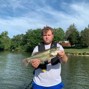 Meet your Posher, Sean